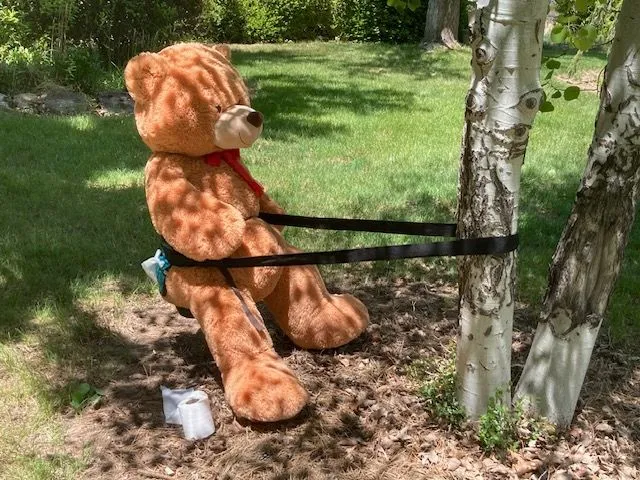 hovermaster-bear Hovermaster 4000, outdoor toileting tool for squatting down, in use demonstration.